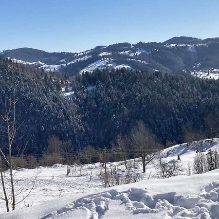 Pensiunea Amalia Gîrda de Sus Dış mekan fotoğraf